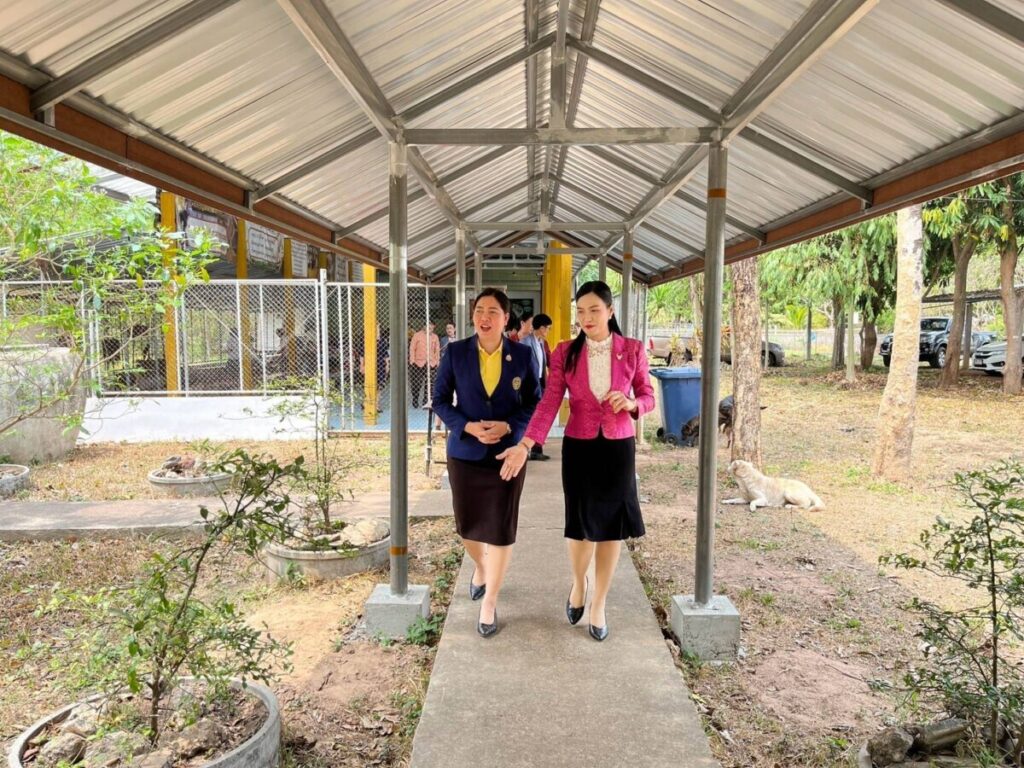 การประเมินผู้บริหารสถานศึกษารอบ 6 เดือน โรงเรียนบ้านคำเม็ก 5 941 0