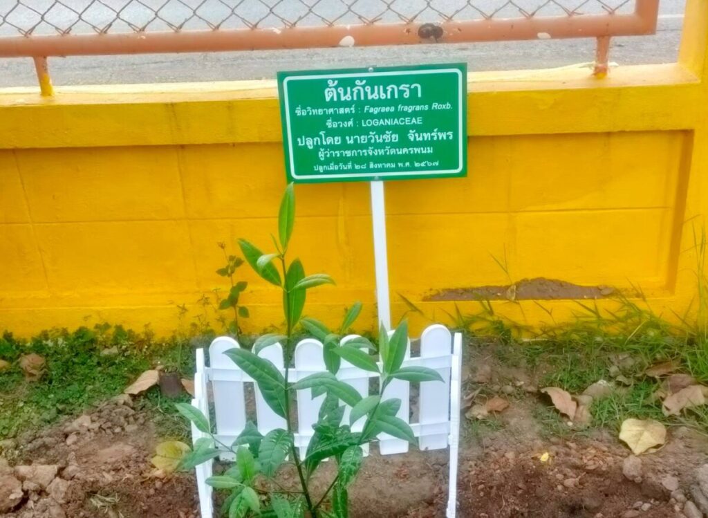 ลงพื้นที่ติดตามการดำเนินงานสวนพฤกษศาสตร์โรงเรียน กิจกรรมผู้ว่าพบนักเรียนหน้าเสาธง และปลูกต้นไม้ ณ โรงเรียนสุนทรวิจิตร (บำรุงวิทยา) 5 677942 0